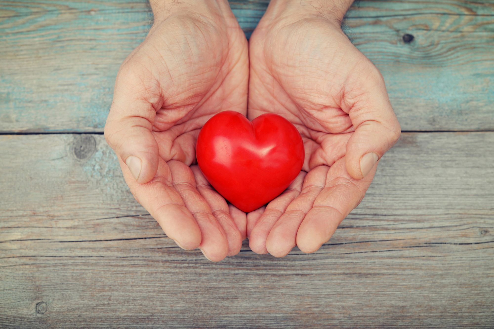 Hjerte som bliver holdt i 2 hænder